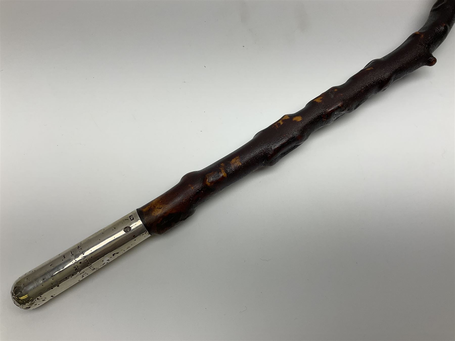 Victorian trap/coaching whip, principally in blackened thorn wood, with a silver cap engraved 'Marmaduke Furness Esquire Nov 1st 1904', hallmarked London 1900, makers mark AC, L173cm 