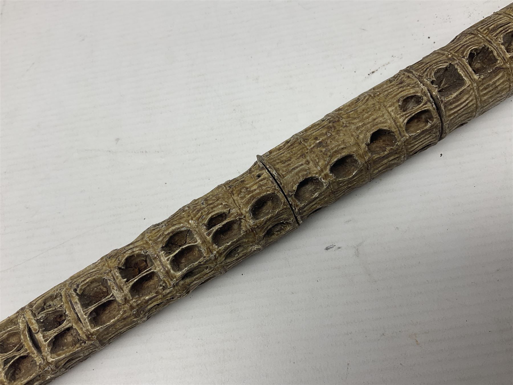 19th century shark vertebrae swagger stick, L84cm