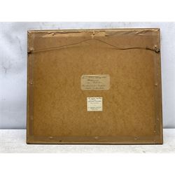 Circle of Prideaux John Selby (British 1788-1867): 'Lanius Collaris (Southern Fiscal) - Female and Young', 19th century pencil and watercolour unsigned, titled and inscribed 'From Sir Jardine and Mr Selby's collection of rare birds' on label verso, 21cm x 28cm 