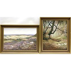 N C Hanson (British 20th century): 'Hob Crag Rosendale' and 'In Mulgrave Woods Sandsend', two oils on canvas signed max 33cm x 47cm (2)
