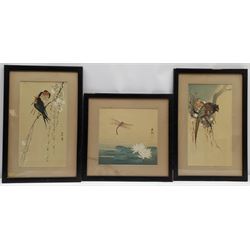 Chinese School (Early 20th century): Birds on a Branch and Dragonfly, pair watercolours and one similar, each with character signatures, 34cm x 19cm and 24cm x 24cm (3)