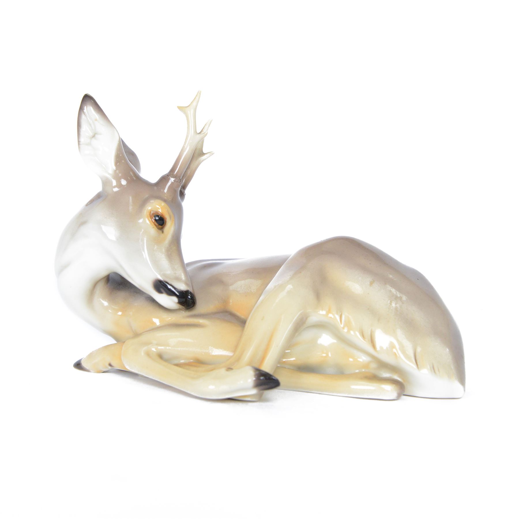 Nymphenburg, recumbent roebuck, model no. 423, with impressed mark beneath, H14cm