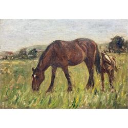 James William Booth (Staithes Group 1867-1953): Two Ponies, oil on canvas laid on board unsigned 23cm x 32cm 