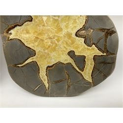 Pair of septarian slices, polished, with a calcite centre and argonite/siderite lines within limestone rock, H15cm, L20cm