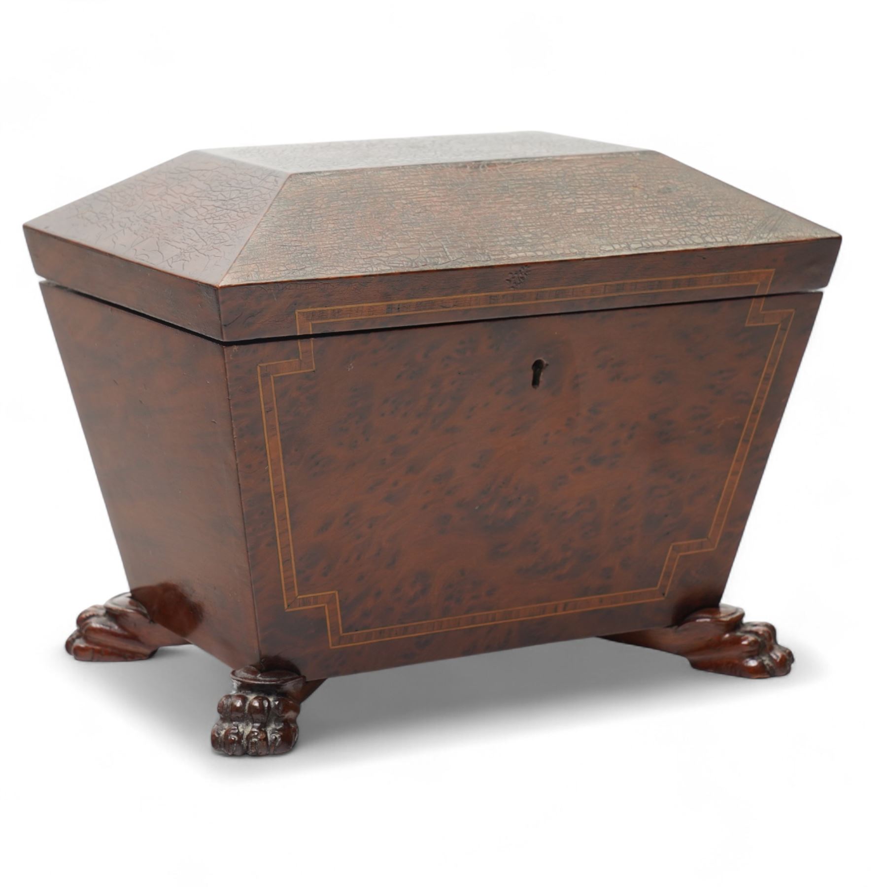20th century amboyna tea caddy, of sarcophagus form, on paw feet, W22cm