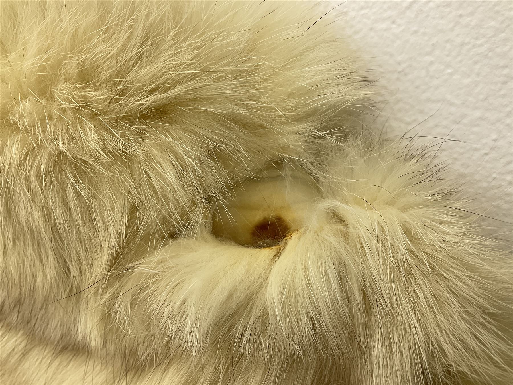 White Arctic Fox fur coat with loop fasteners 
