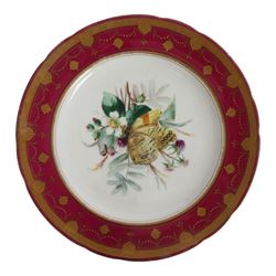 19th century Minton dessert plates, five decorated with a central ornithological study and four decorated with butterflied, each with within a red  and gilt board