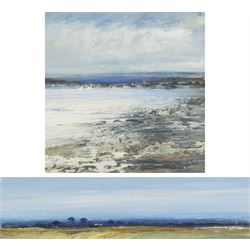 Peter Hodson (British Contemporary): Norfolk Landscapes, two oils on board signed 11cm x 41cm and 19cm x 19cm (2)