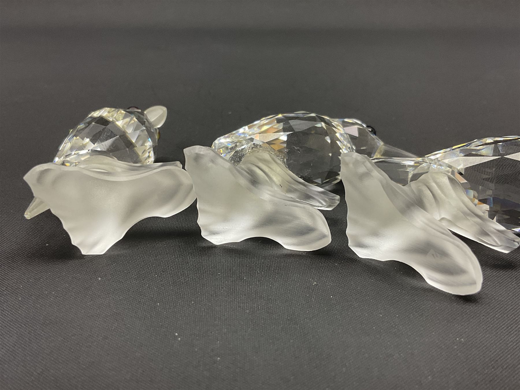 Fourteen Swarovski Crystal bird figures, to include toucan, mandarin duck, swans, parrot, cranes etc 