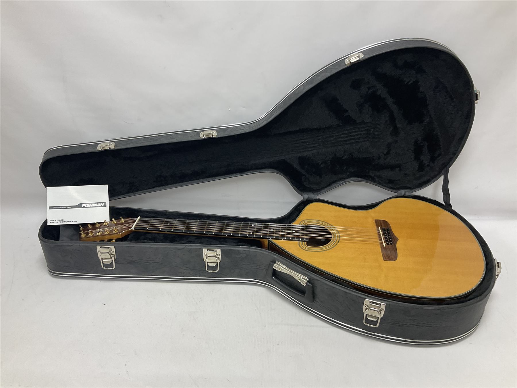 Brazilian Giannini Craviola twelve string acoustic guitar