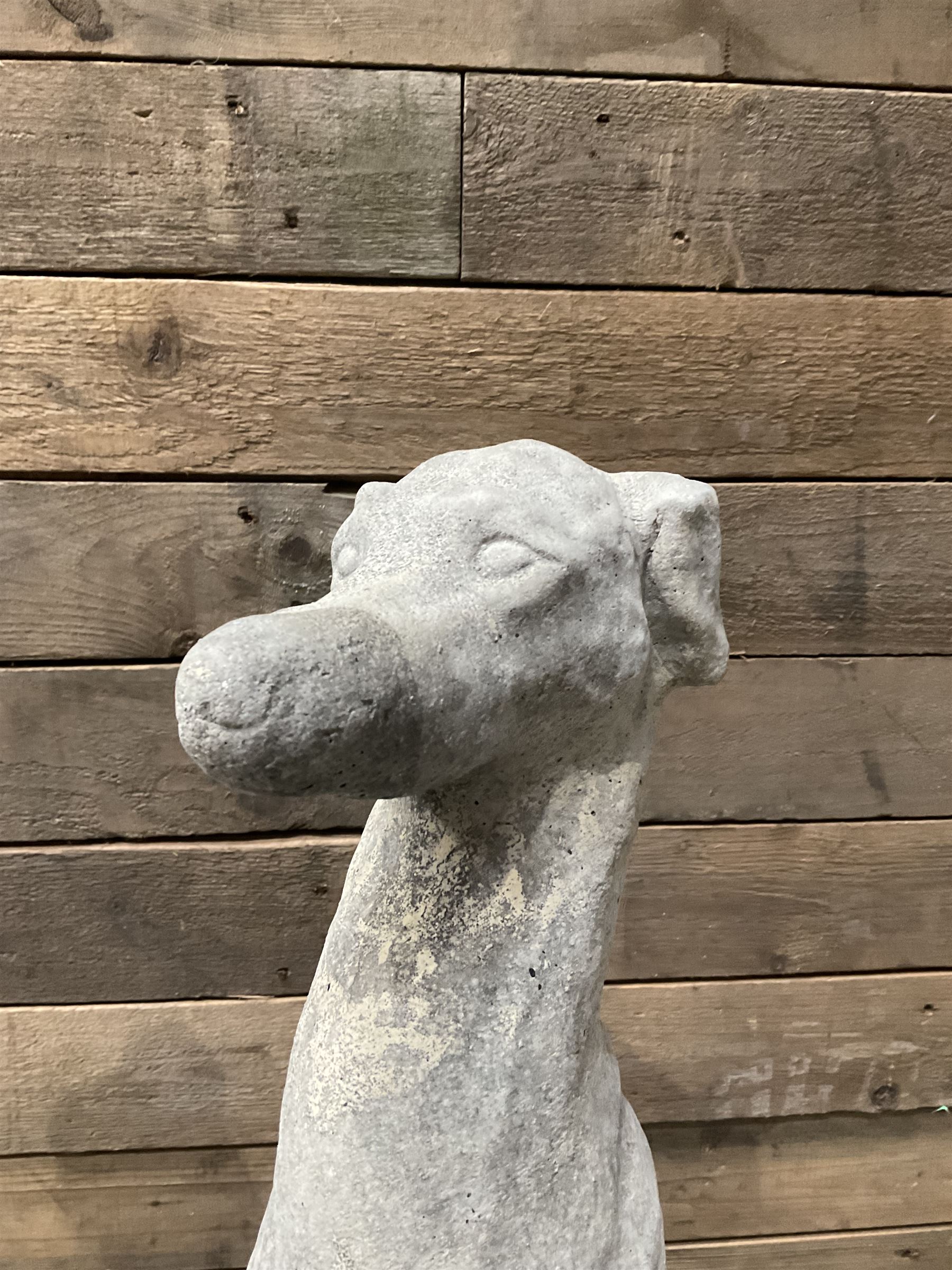 Pair of cast stone seated greyhounds, on square plinth base