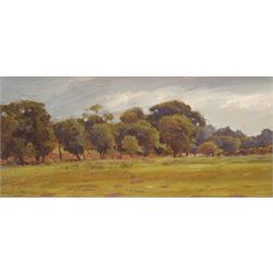 David Woodford (British 1938-): 'Tree Study 2', oil on board signed, inscribed and dated 1996 verso 12cm x 26cm (unframed)