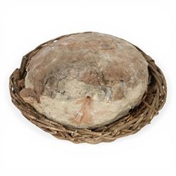 Dendroolithus sp (Hadrosaur) dinosaur egg age; Cretaceous period, location Gobi desert, Mongolia, L20cm
