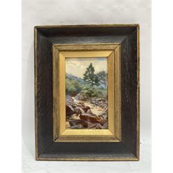 Charles Ernest Butler (British 1864-1918): Stream 'Near Callander' - Scotland, oil on board signed, indistinctly titled verso 19cm x 11cm 