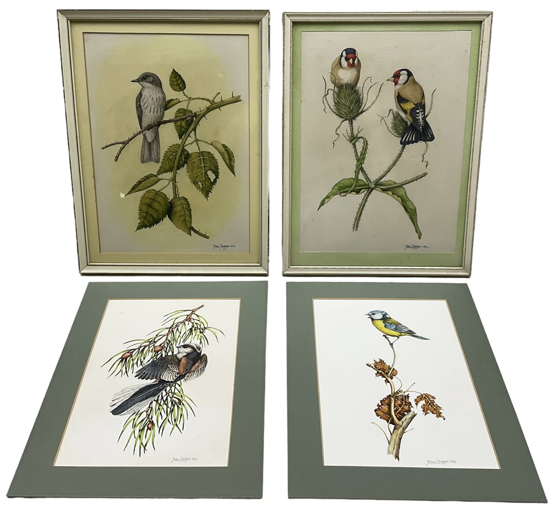 Miles Hopper (British 20th century): Bird Studies, set seven watercolour signed and dated 1974-1978, 30cm x 22cm (7) (two unframed)