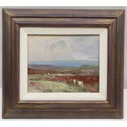 William B Dealtry (British 1915-2007): Sheep on a Heather Moorland, oil on board signed 13cm x 16cm