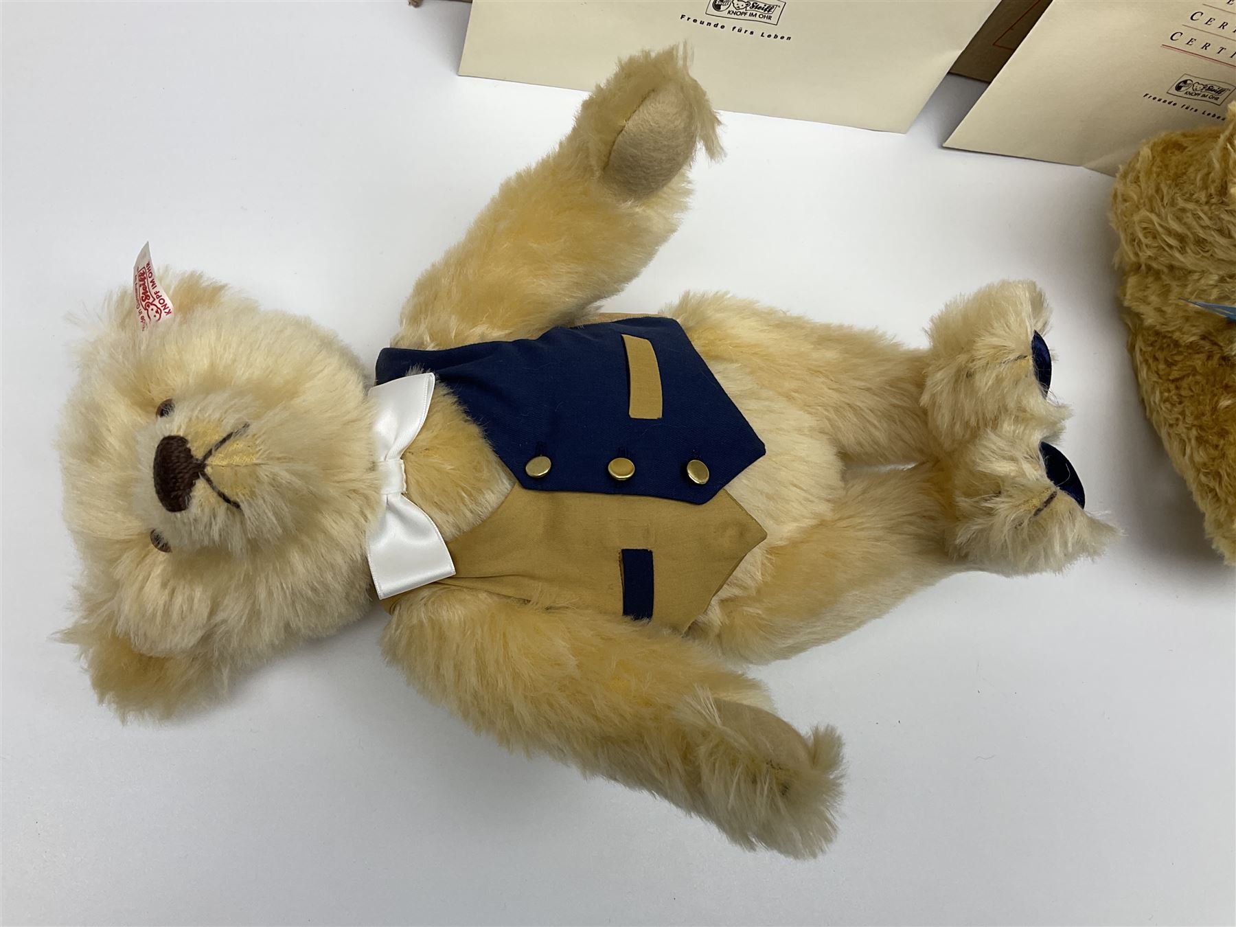 Two modern Steiff limited edition teddy bears - Prince William's 21st Birthday Bear with growler mechanism No.58/1500 H35cm; and Cherished Teddies Collection Daisy No.4269/5000 H33cm; both boxed with certificates (2)