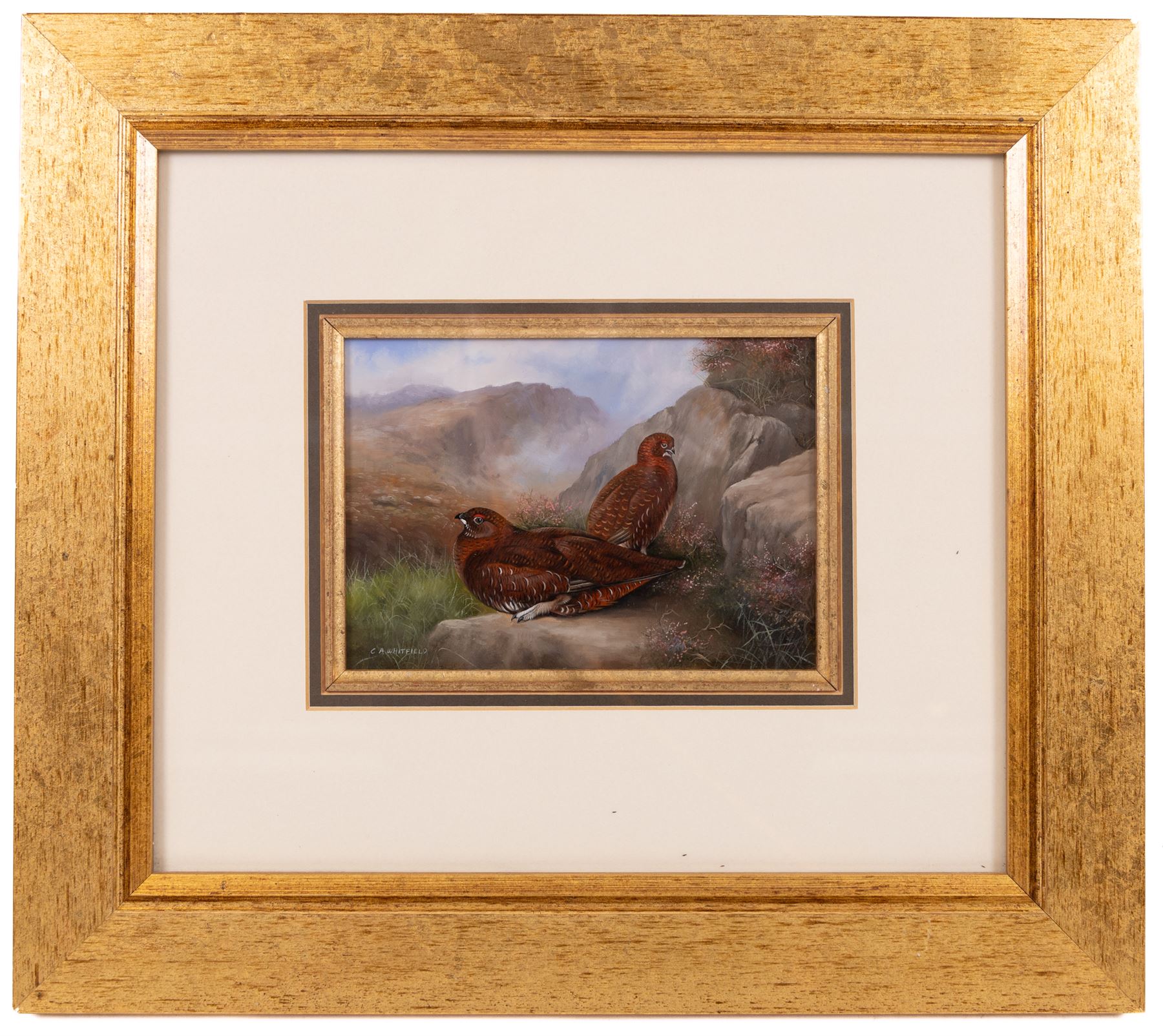 Carl Whitfield (British 1958-): Pair of Grouse in a Rocky Valley, oil on board signed 11cm x 16cm