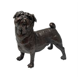 Grant Palmer, cold cast bronze model of a pug, H21.5cm L21cm