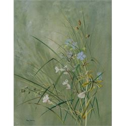 Ann Soper (British 20th century): Butterfly among Wildflowers, gouache signed 35.5cm x 28cm