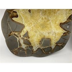 Pair of septarian slices, polished, with a calcite centre and argonite/siderite lines within limestone rock, H15cm, L20cm