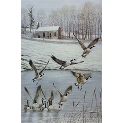 Robert E Fuller (British 1972-): Winter Geese in Flight, limited edition colour print signed and numbered 311/850 in pencil 45cm x 30cm