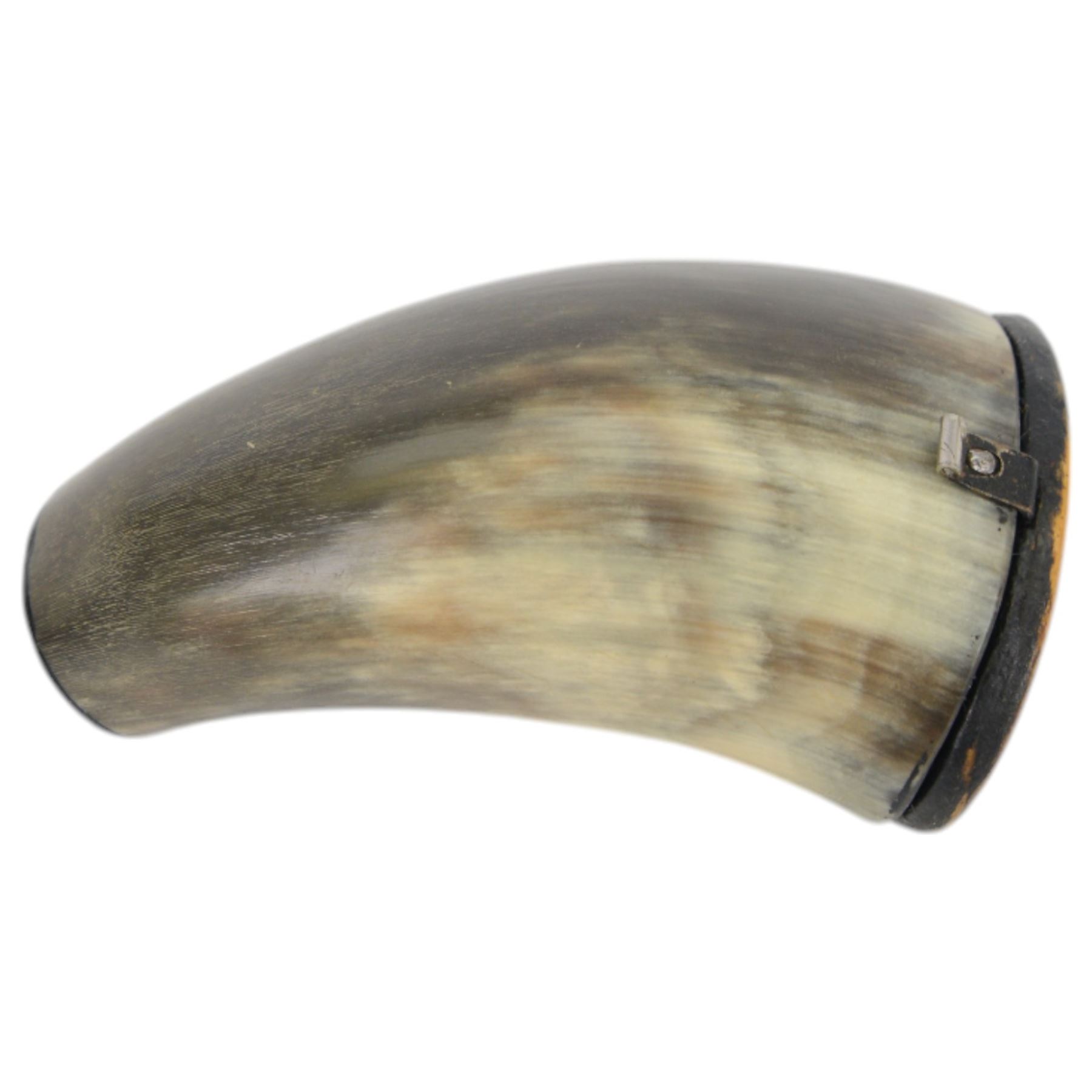 Horn Snuff Mull, the hinged lid and 1863 1 lira coin to the base, H9cm