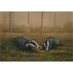 John Naylor (British 1960-): Two Badgers, pastel signed, authenticity label verso 20cm x 29cm