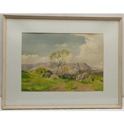 Ernest Ellis Clark (British 1869-1932): 'Coniston Hills', watercolour signed 32cm x 45cm