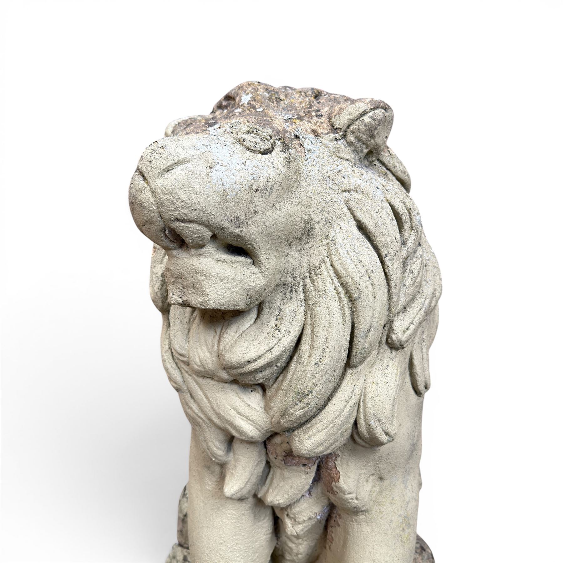 Pair of cast stone garden lions, seated on rectangular plinths