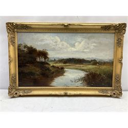 English School (20th century): Rural River Landscape, oil on canvas indistinctly signed 34cm x 59cm