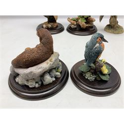 Quantity of Country Artists figures, comprising Woodland Visitors G800, Otter Family CA 552, Barn Owl CA 431, Wren CA 81, Mouse and Acorn CA784, Kingfisher - Broadway CA422, Early Days - Barn Owlets CA 720, together with two Border Fine Arts figures comprising Woodcock by James Harvey, 1985 and First Outing, Many with original boxes (9)