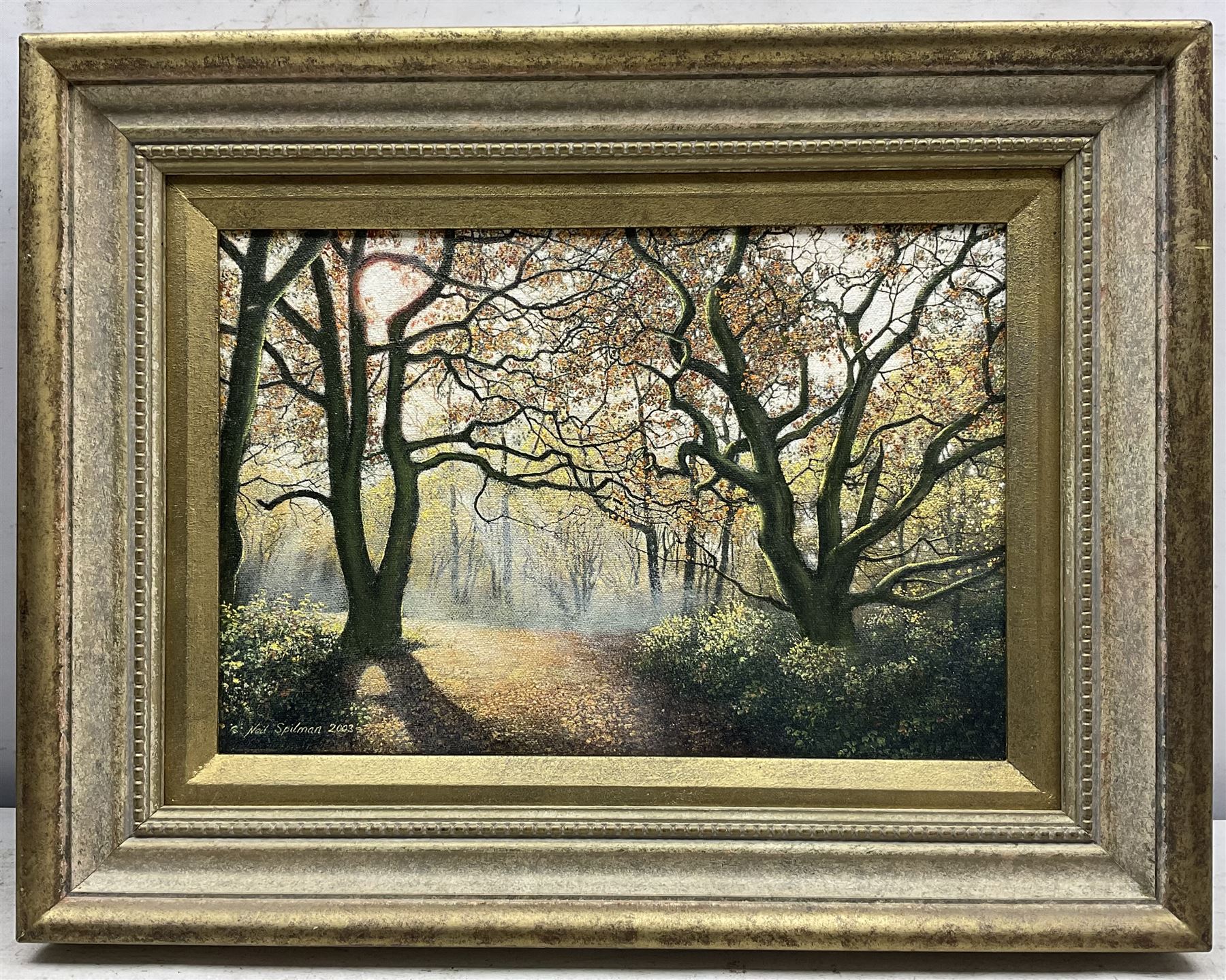Neil Spilman (British 1951-): A Woodland Path, oil on canvas signed and dated 2003, 20cm x 30cm