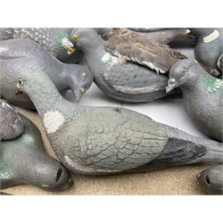 Fourteen Wood Pigeon decoys, together with camouflage netting