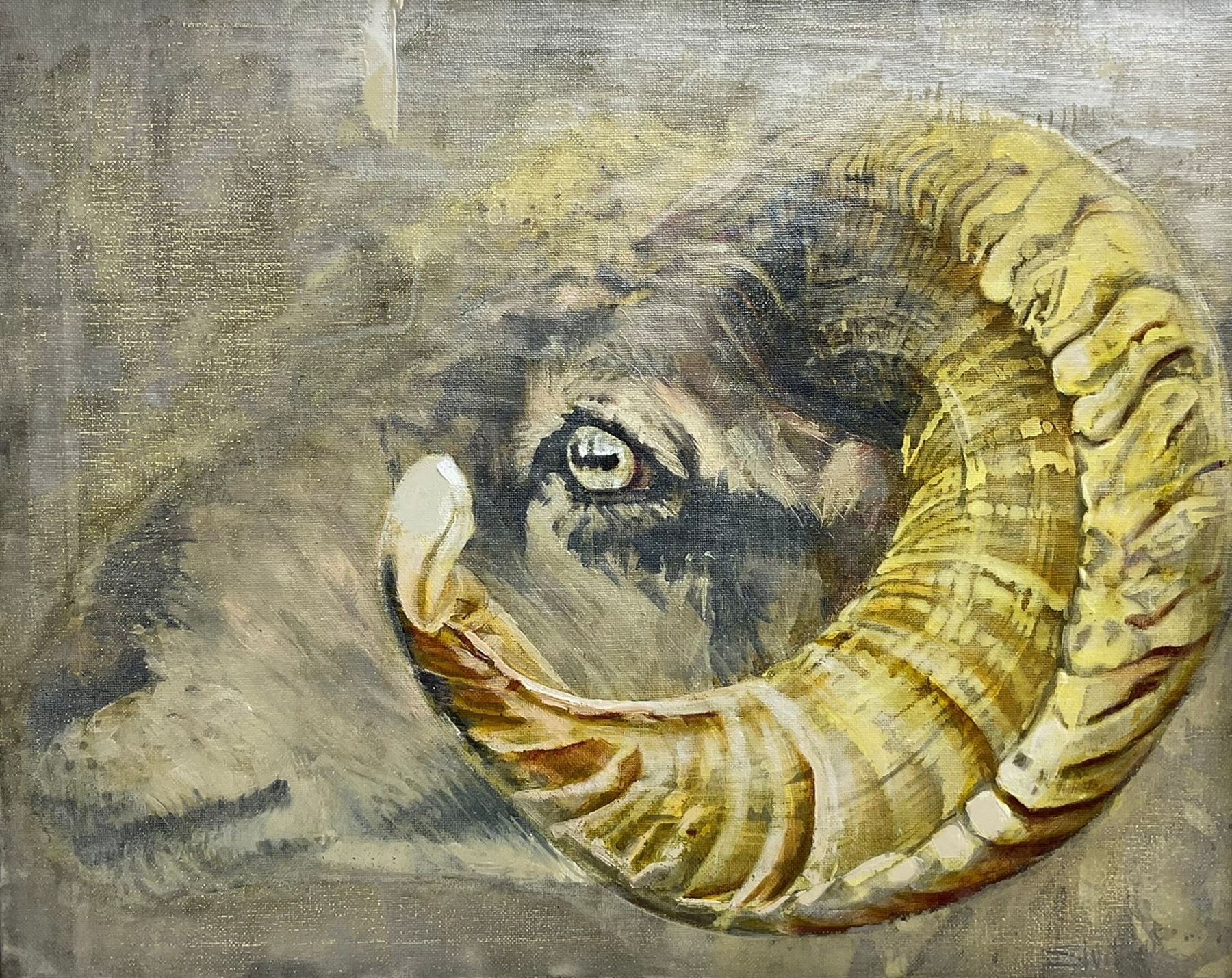 Sarah Williams (British 1961-): Ram's Head, Oil on Canvas.

Sarah graduated from Norwich School of Art and Design in 1984 with a first-class BA Hons in Fine Art and, having won the Stowell's Trophy, was awarded an unconditional place to study MA Painting at the Royal Academy. She comes from a family of creative talent - her father, Reg Williams, was a member of the York Four. 

She has exhibited in galleries around England and has had her own businesses in Interior Design, Architectural Design, Furniture Design and Jewellery. Sarah has recently returned to painting full-time and, having used a multitude of mediums in her creative work, now confesses she is an oil-paint addict. It is 