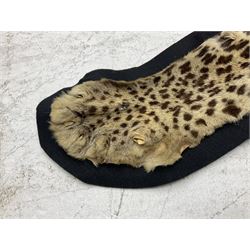 Taxidermy: Early 20th century Indian leopard (Panthera pardus fusca), adult skin rug, with limbs outstretched, upon a felt back, nose to tail L186cm