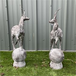 A pair of cast iron garden stag finials on ball bases - THIS LOT IS TO BE COLLECTED BY APPOINTMENT FROM DUGGLEBY STORAGE, GREAT HILL, EASTFIELD, SCARBOROUGH, YO11 3TX