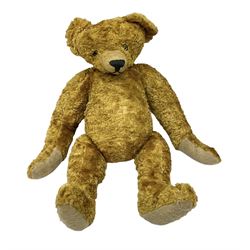 Teddy bear with plush covered woodwool filled body, the revolving head with boot button type eyes and vertically stitched nose and mouth to the long snout, humped back and jointed limbs with long curving arms and felt pads H54cm