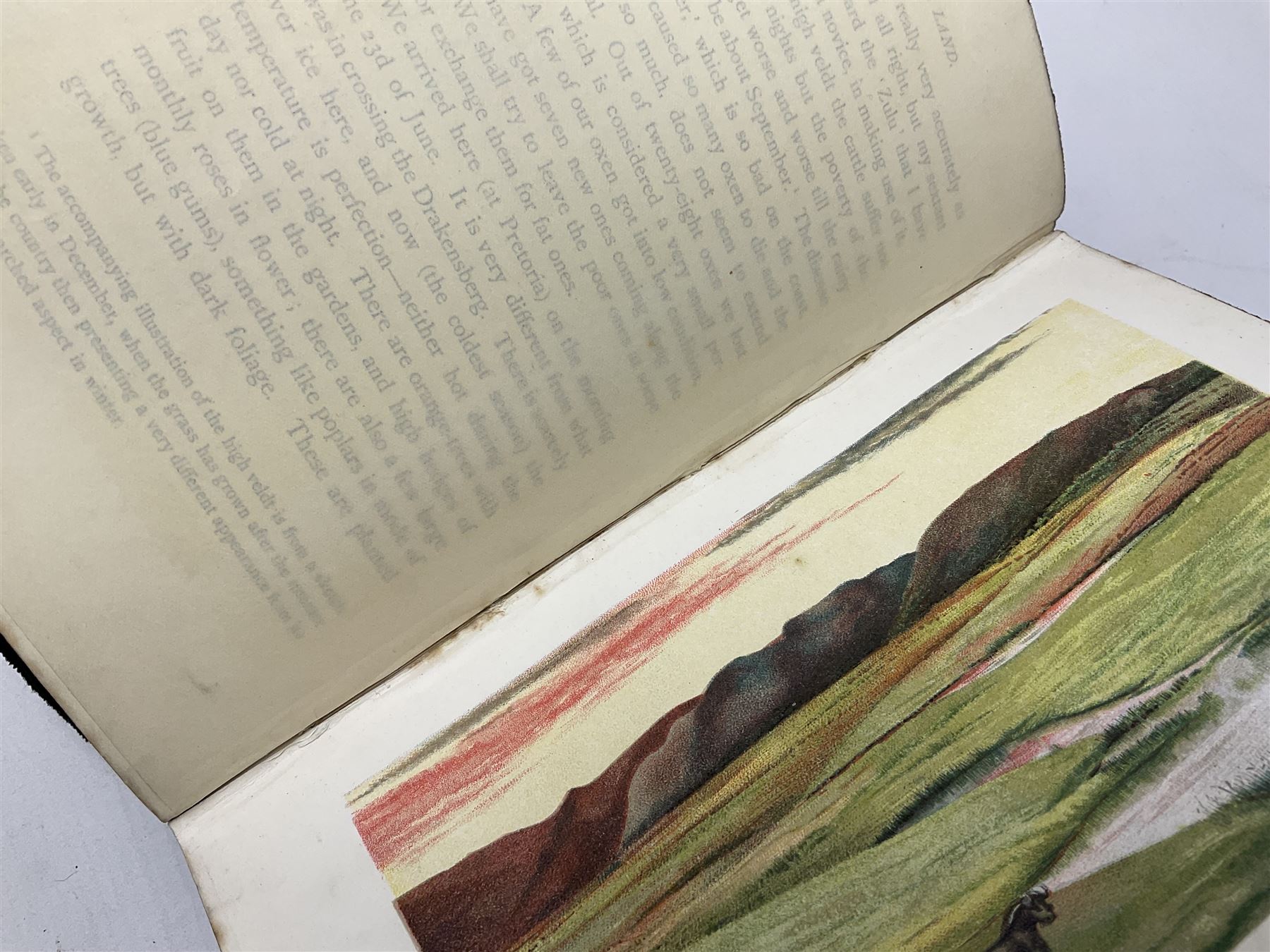Frank Oates; Matabele Land and the Victoria Falls: A Naturalist`s Wanderings in the Interior of South Africa edited by C.G.Oates second edition, with half-title mounted engraved portrait, chromolithographed plates, lithographed natural history plates, folding engraved maps with partial hand-colouring plain plates and illustrations