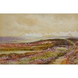  Along a Moorland Country Path, three watercolours signed by John Wynn Williams (British fl.1900-1920) 24cm x 34cm and 16cm x 25cm (3)  
