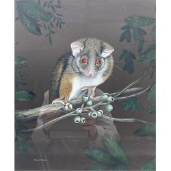 John Searl (British Contemporary): Oposs