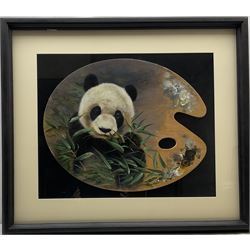 Pollyanna Pickering (British 1942-2018): Panda, oil on artist's palette signed 42cm x 52cm