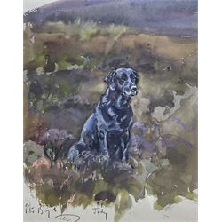 Peter Biegel (British 1913-1987): Portrait of 'Judy' a Seated Black Labrador, watercolour signed titled and dated '62, 28cm x 21cm