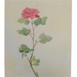 Album of watercolour paintings, including botanical, figural and still life examples