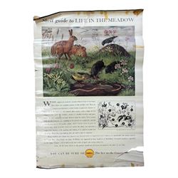 Collection thirty seven vintage county guide posters produced by Shell, H76cm, W51cm