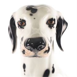 Life-sized model of a seated Dalmatian, H80cm