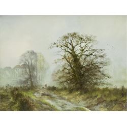 Alwyn Crawshaw (British 1934-): Wooded Country Lane, oil on canvas signed 39cm x 49cm