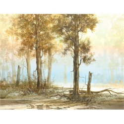 Continental School (20th century): 'Evening in the Forest', watercolour unsigned 42cm x 54cm