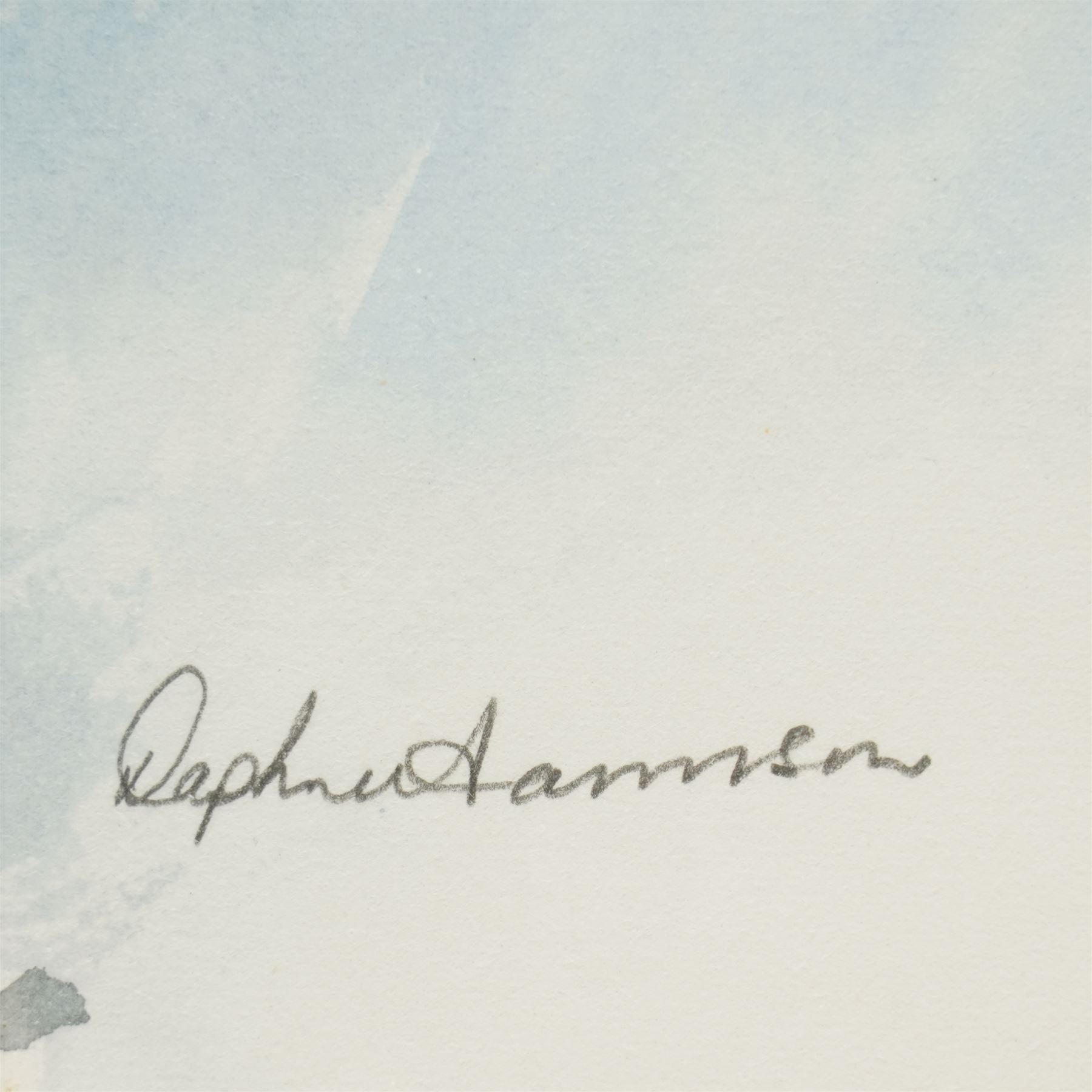 Daphne Harrison (Northern British Contemporary): Brown Trout and Rainbow Trout, pair watercolours signed 31cm x 37cm (2)