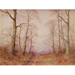 John Caesar Smith (British 1930-): Woodl